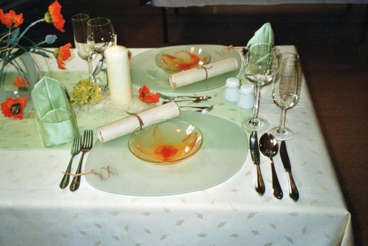 Hotel Carola Olbernhau Extérieur photo