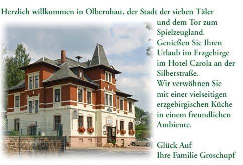 Hotel Carola Olbernhau Extérieur photo