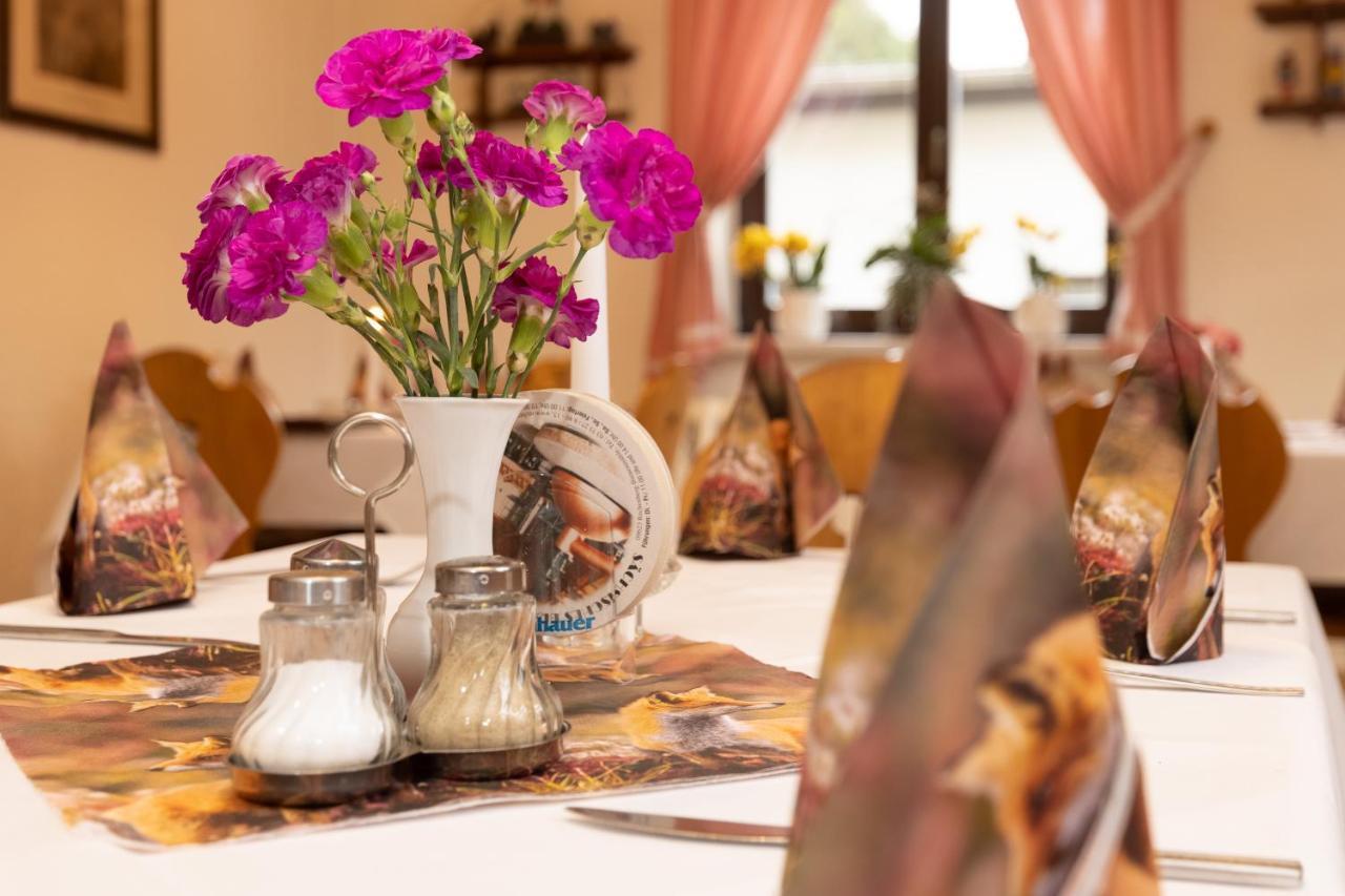 Hotel Carola Olbernhau Extérieur photo
